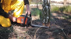 Best Lawn Irrigation Installation and Maintenance  in Almedia, PA